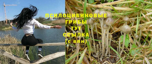 jwh Богородск