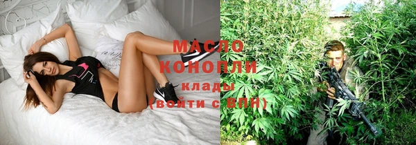 сатива Богородицк
