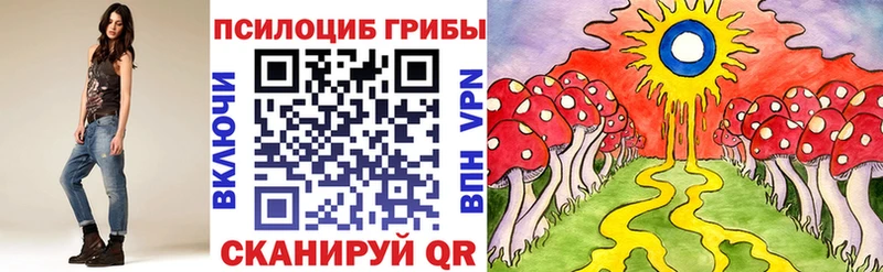 Псилоцибиновые грибы прущие грибы  Купить где  Дальнегорск 